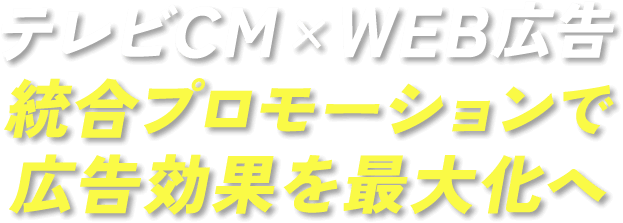 テレビCMとデジタル広告 統合プロモーションで広告効果を最大化へ